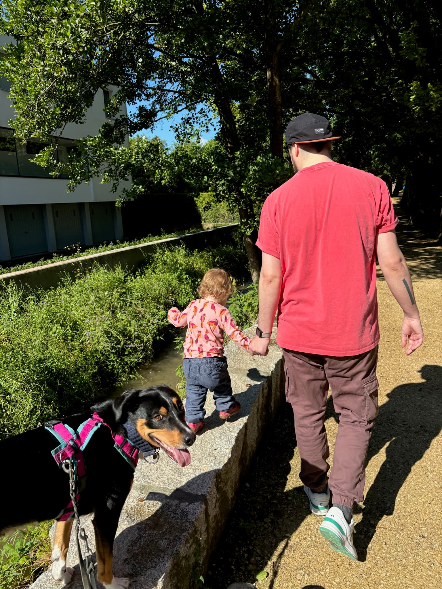 Caspar Camille Rubin